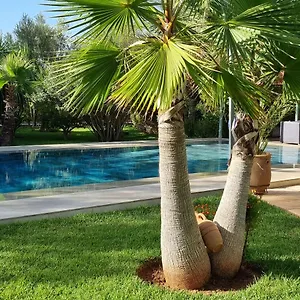 https://riad-les-deux-citronniers.marrakeshhotelsmorocco.com